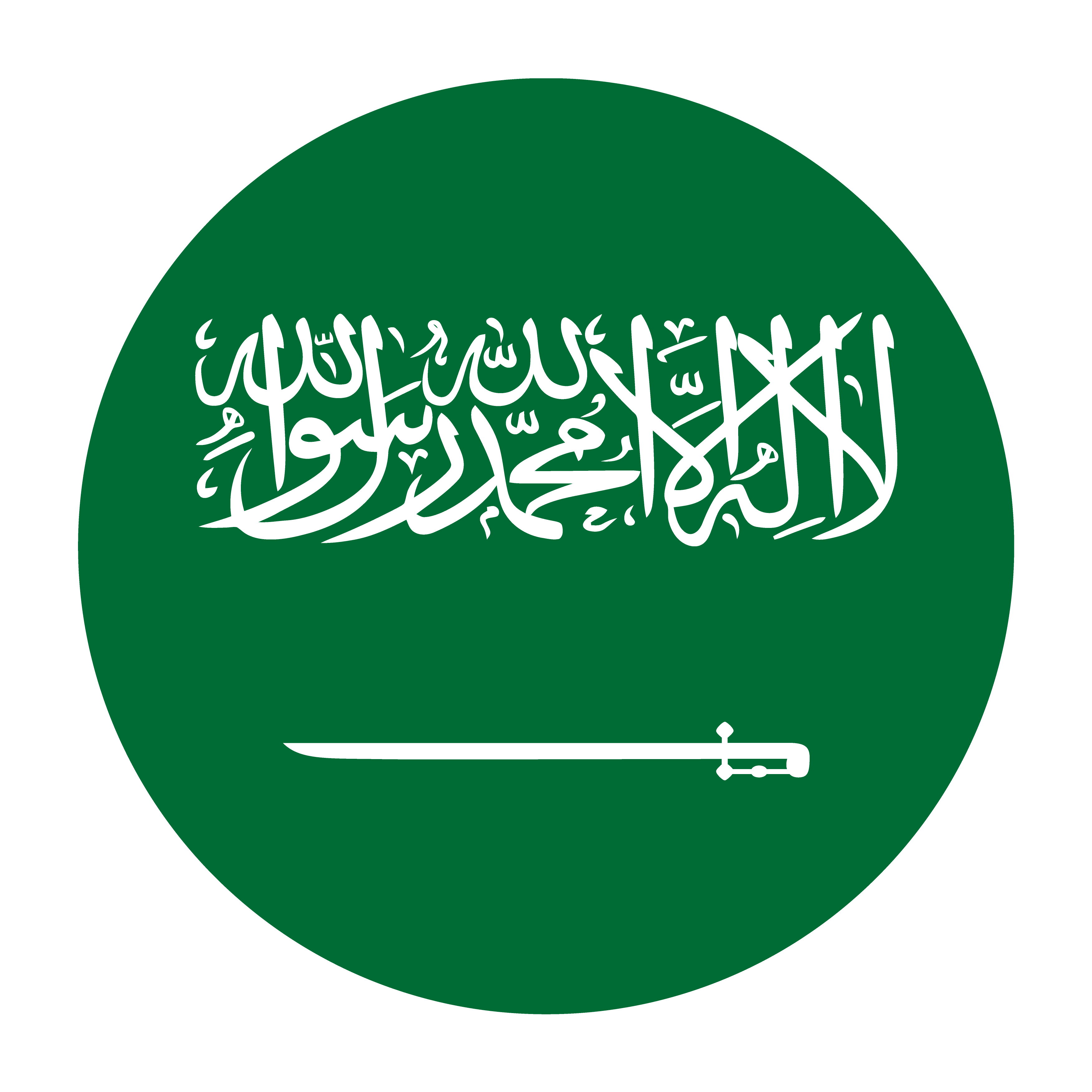 Small Saudi Arabia flag marking the Arabic locale option